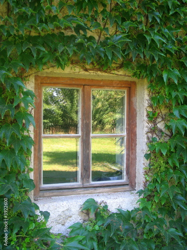 Photo: fenster fenster