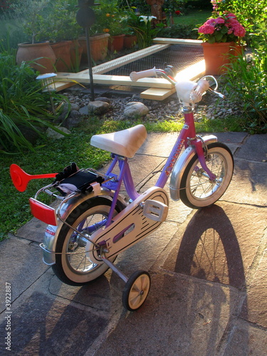 Photo: bicycle in garden bicycle in garden