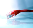 Cable connection réseau Cable connection réseau