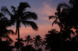 Visions of Paradise