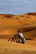 Dune du Sahara