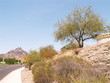 Arizona