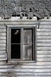 Photo: Old Window Old Window