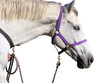 Foto: white horse white horse