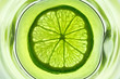 Photo: Lemon Lemon