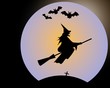 Halloween Hexe