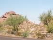 arizona