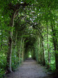 Arched Pathway
