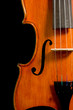 Violin on black