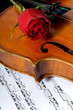 Violin, rose and sheet music