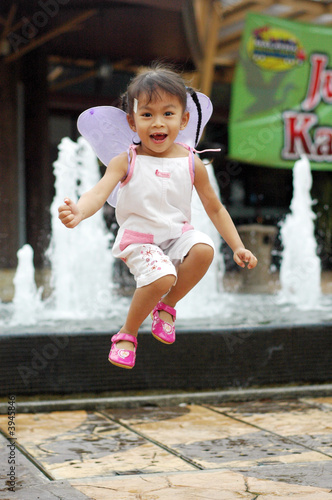 Fly II