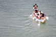 Dragon Boat Race
