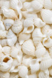 Foto: Seashells background Seashells background