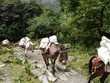 mountain freight 3