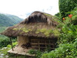 mountain thatch