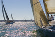 Racing In The Evening Sun
