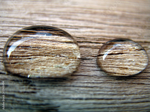 Photo: Water drops Water drops