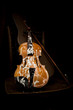 Old grunge violin spattered with white paint without strings in