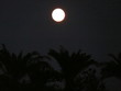 Mond