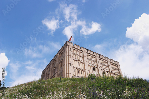 Norwich castle