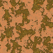 Rusty metal door