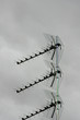 Antenne 01