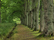 Park Park