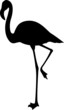 Illustration: Flamingo Flamingo