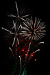 White finale fireworks