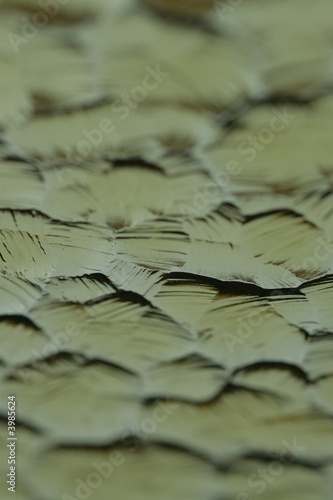 verre travaillé 3