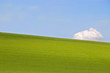 Grass field and sky