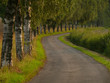 Baunallee Baunallee