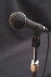 Performer's and entertainer's microphone