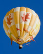 Foto: Hot Air Balloon 0743 Hot Air Balloon 0743