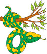 Snake