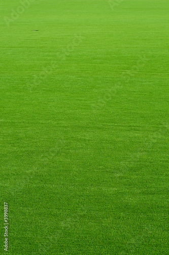 Foto: Perfect grass on the golf field Perfect grass on the golf field