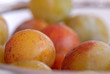 mirabelles