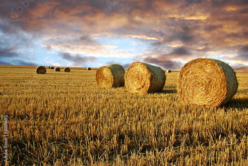Straw rolls and dramatic sky