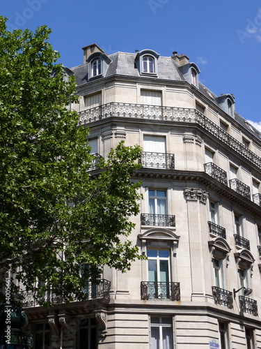 Immeuble blanc derrière un arbre, Paris