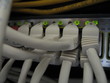 48 Port Switch 48 Port Switch