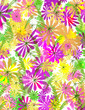 Funky Retro Flowers Funky Retro Flowers
