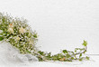 Illustration: bouquet bouquet