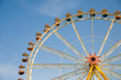 amusement grounds