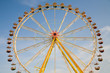 amusement grounds