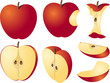 Apple illustration