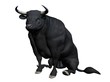 Bull Bull