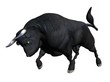 Bull