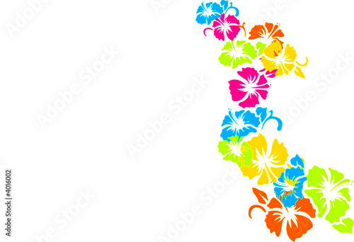 Illustration: Flowers Flowers