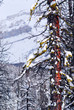 Mountain landscape