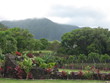 Earthly paradise
